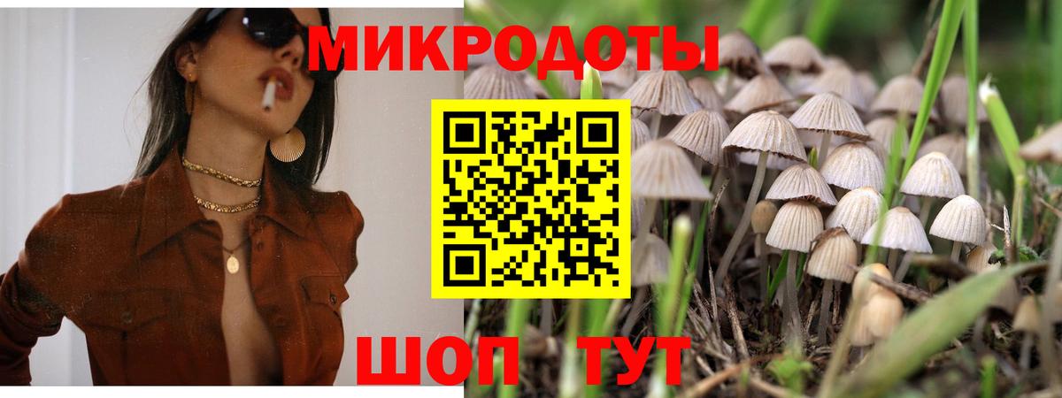 Псилоцибиновые грибы Cubensis Улан-Удэ